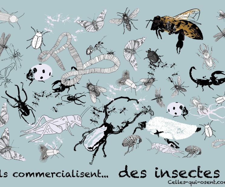 insectes-celles-qui-osent