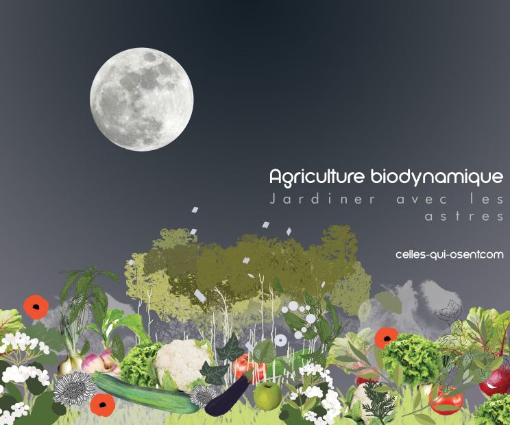 jardin-biodynamique-lune-celles-qui-osent-CQO